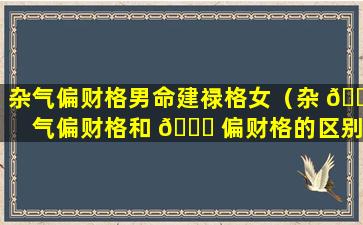 杂气偏财格男命建禄格女（杂 🌷 气偏财格和 🐒 偏财格的区别）